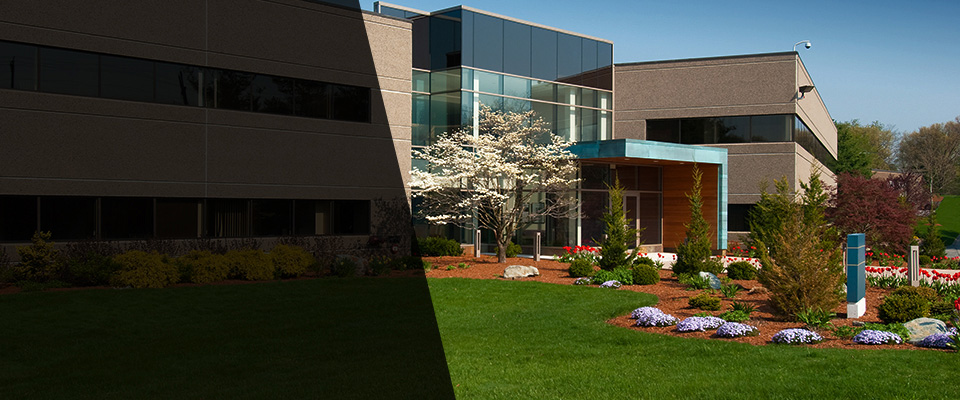 Hampshire Landscapers