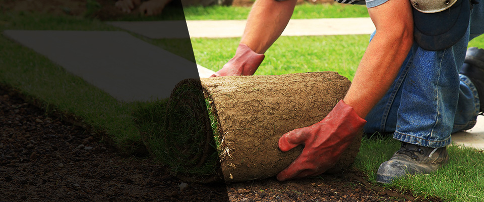 Hampshire Landscapers